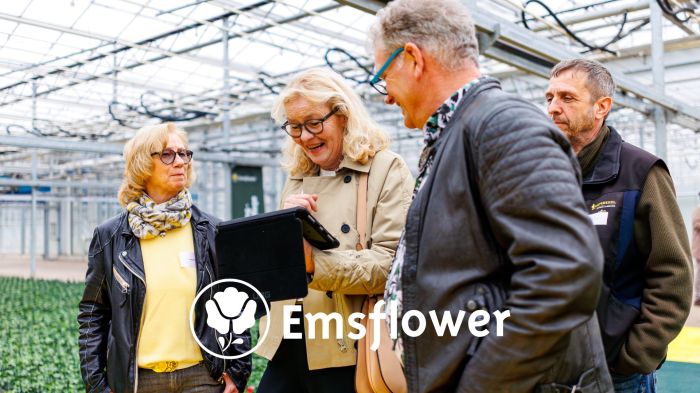 JUBILEUMEVENT | EMSFLOWER